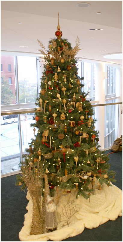 awa tree 2015 -23